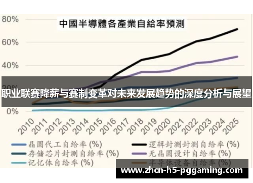 职业联赛降薪与赛制变革对未来发展趋势的深度分析与展望