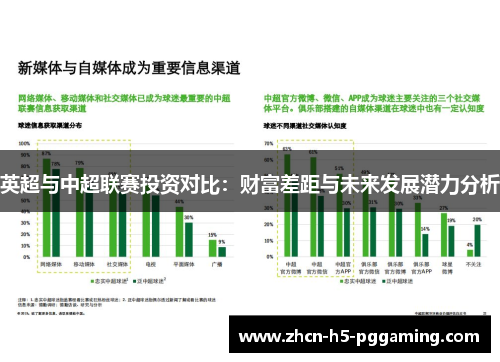 英超与中超联赛投资对比：财富差距与未来发展潜力分析