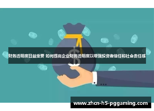 财务透明度日益重要 如何提高企业财务透明度以增强投资者信任和社会责任感 财务透明度日益重要 如何提高企业财务透明度以增强投资者信任和社会责任感