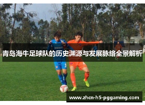 青岛海牛足球队的历史渊源与发展脉络全景解析