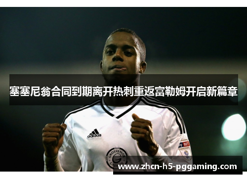 塞塞尼翁合同到期离开热刺重返富勒姆开启新篇章 塞塞尼翁合同到期离开热刺重返富勒姆开启新篇章